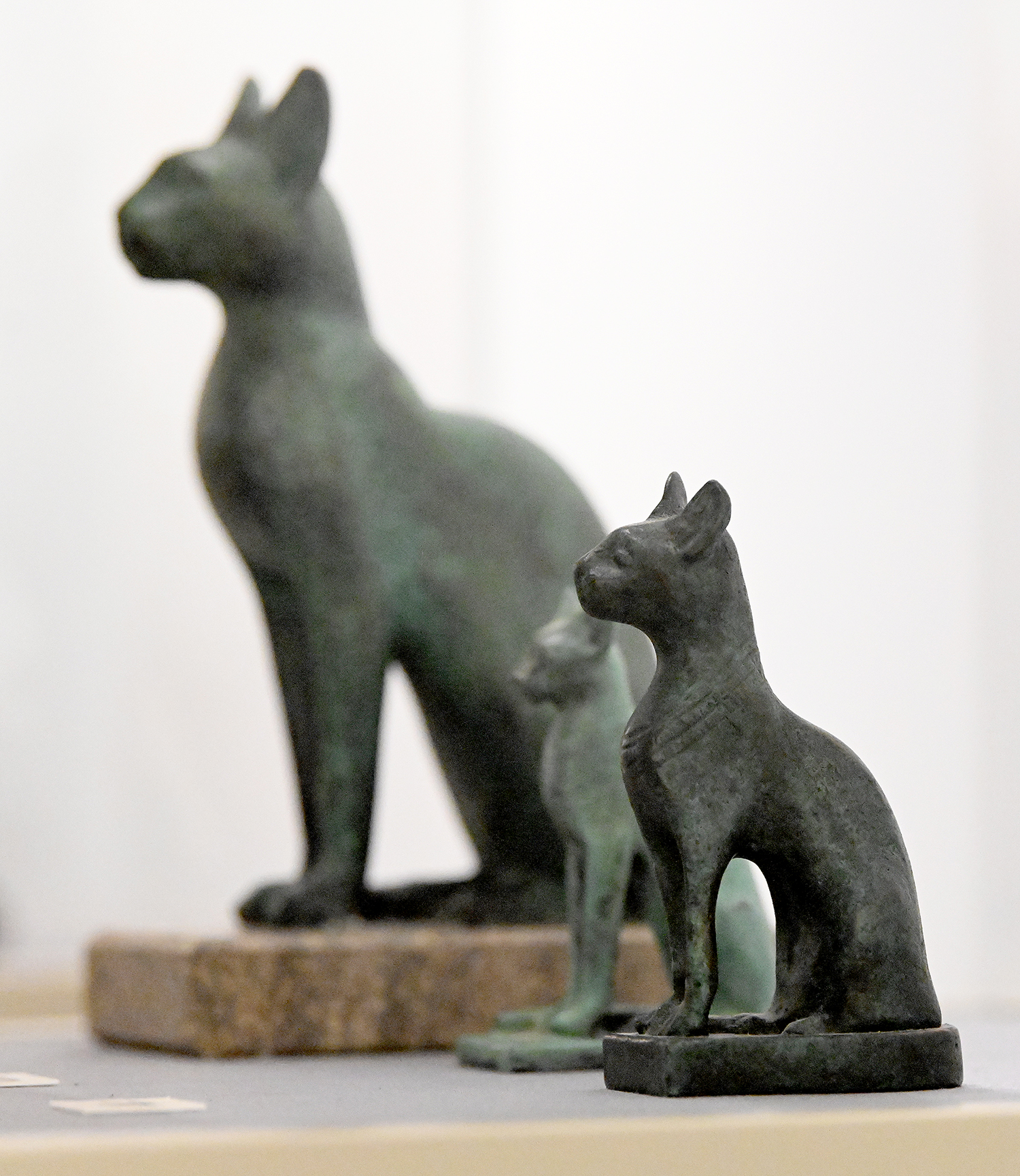 „Diese KATZE ist die Sonne selbst“ – Am Anfang einer gegenseitigen Begegnung