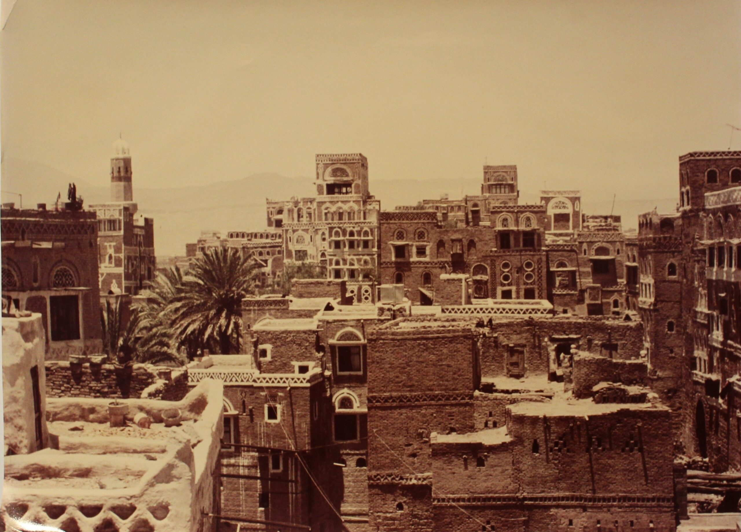 Sudan und Arabien im Blick auf Werner Daums Forschungen und Sammlungen